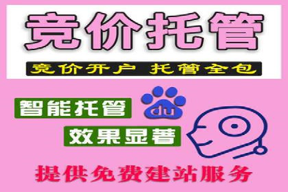 SEM托管服务成功案例：让广告投放更精准、更高效